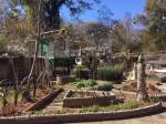 Howard Finser Garden