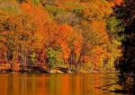 radnor-lake-fall-reflections-patrick-ligocki